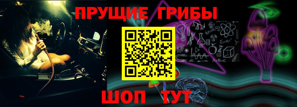 Псилоцибиновые грибы прущие грибы  Псилоцибиновые грибы прущие грибы  Похвистнево  Вход с VPN 